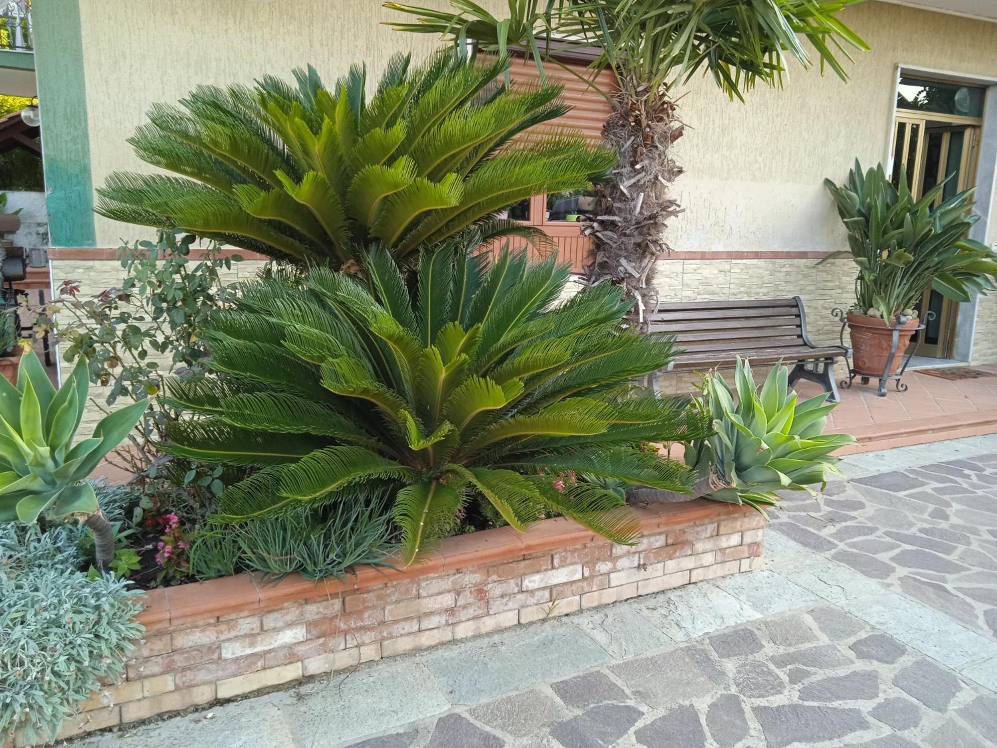 B&B La Porta Del Cilento Capaccio Dış mekan fotoğraf